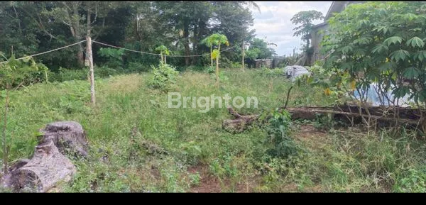 image TANAH LUAS 2.106M² DI WISATA PAMPANG, SAMARINDA (7)