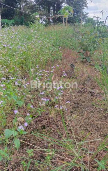 image TANAH LUAS 2.106M² DI WISATA PAMPANG, SAMARINDA (6)