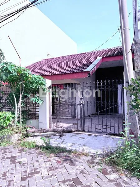 image TANAH LUAS SHM DI SUTOREJO SELATAN, DEKAT SUPERINDO (1)