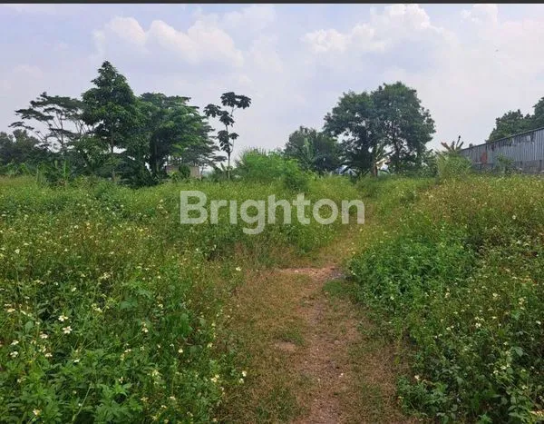 image DI JUAL TANAH BAGUS DI CIANGSANA (4)