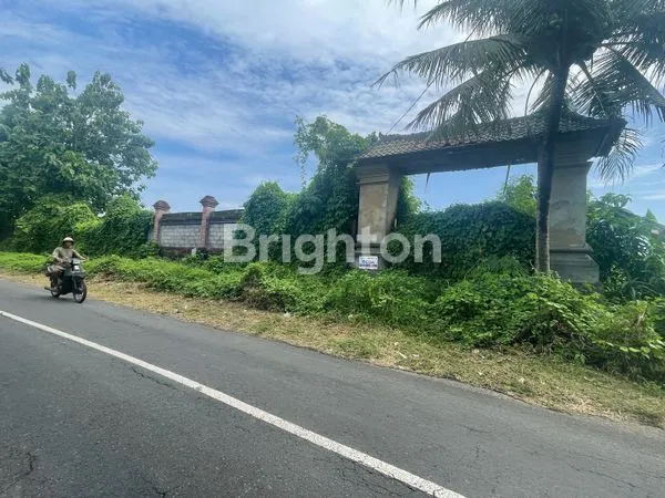 image FOR SALE — TANAH 20 ARE | TAMAH, GIANYAR (3)