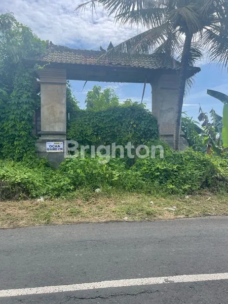 image FOR SALE — TANAH 20 ARE | TAMAH, GIANYAR (7)