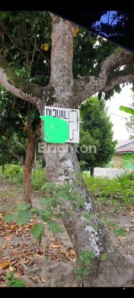 DI JUAL SEBIDANG TANAH DI TUMPATAN NIBUNG