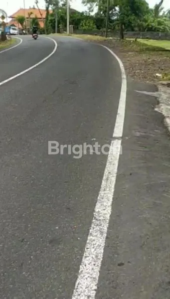 image TANAH LUAS 8000M² DI TABANAN, DEKAT PANTAI & TOL (1)