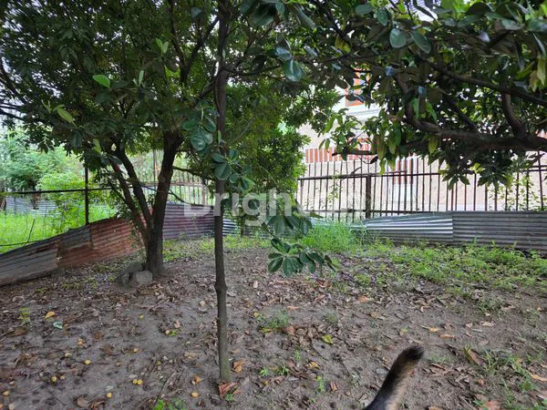 image TANAH STRATEGIS DI SUMBER SOLO, DEKAT KPU & FASILITAS (2)