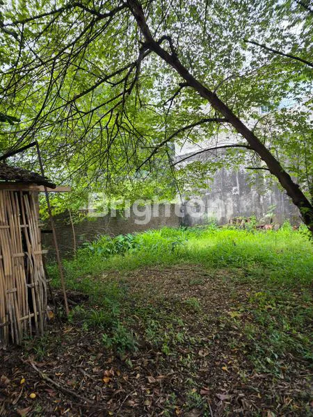 image TANAH STRATEGIS DI SUMBER SOLO, DEKAT KPU & FASILITAS (3)