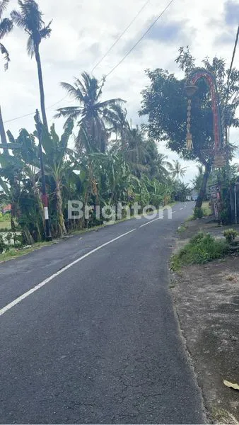image TANAH 8,5 ARE | TAMAH, GIANYAR (4)