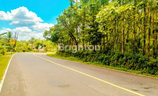 TANAH STRATEGIS DI PINGGIR JALAN RAYA UTAMA SOLO-PACITAN, DEKAT PUSAT LAYANAN PUNUNG
