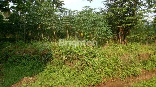 image TANAH STRATEGIS 5.655M², COCOK UNTUK PERUMAHAN (5)