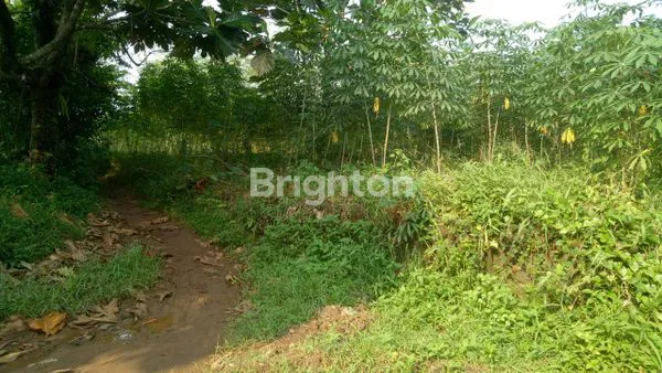 image TANAH STRATEGIS 5.655M², COCOK UNTUK PERUMAHAN (2)