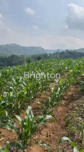 image TANAH STRATEGIS DI BANDUNG SELATAN - HARGA HARI INI, NILAI MASA DEPAN (2)