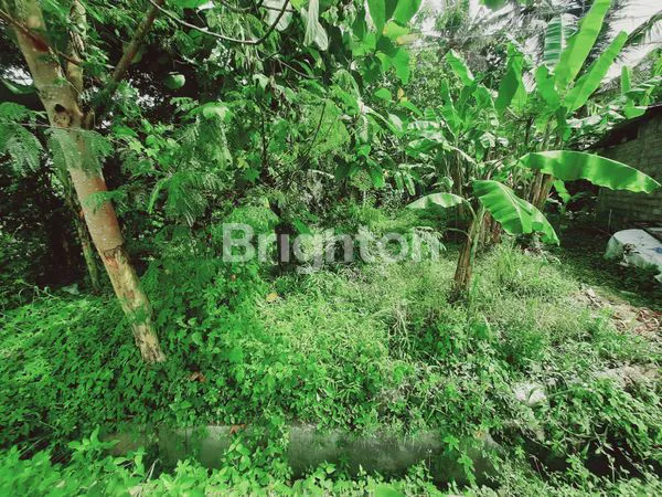 image TANAH PINGGIR JALAN BANTUL (1)