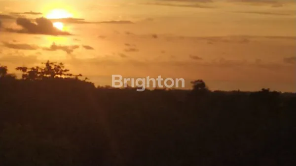 image LAHAN PREMIUM ULUWATU, AKSES MUDAH & PEMANDANGAN OCEAN (6)