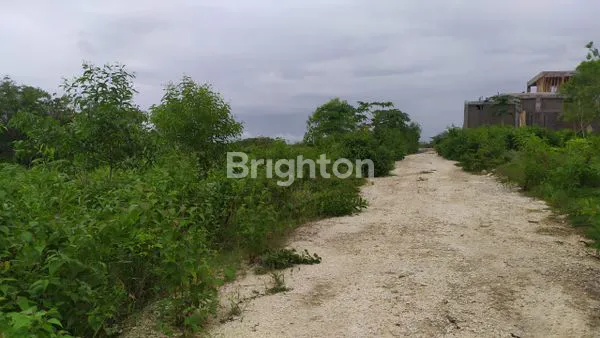 image LAHAN PREMIUM ULUWATU, AKSES MUDAH & PEMANDANGAN OCEAN (4)