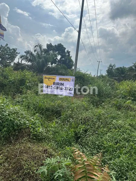 image DIJUAL TANAH STRATEGIS – PALAS, KOTA DUMAI (PINGGIR JALAN BESAR) (6)