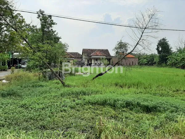 image TANAH DILOKASI STRATEGIS, PADAT PENDUDUK DAN DIKELILINGI PERUMAHAN2. (4)