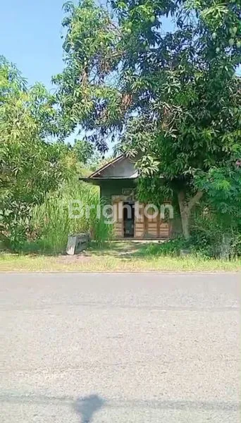 TANAH STRATEGIS JL RAYA PROPINSI SRAGEN KE PURWODADI DI SRAGEN