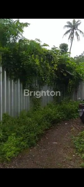 image DIJUAL TANAH DI SINDUHARDJO SLEMAN YOGYAKARTA (2)