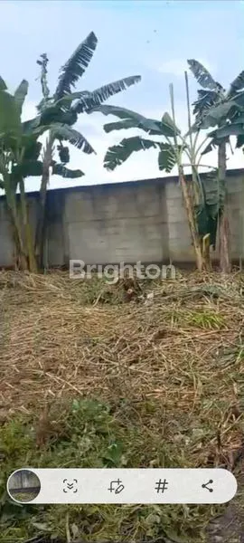 image DIJUAL TANAH DI SINDUHARDJO SLEMAN YOGYAKARTA (6)