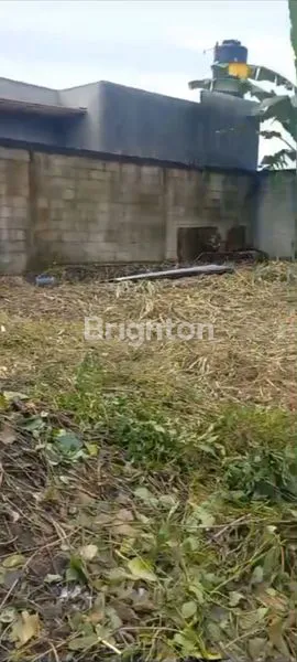 image DIJUAL TANAH DI SINDUHARDJO SLEMAN YOGYAKARTA (7)