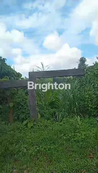 image DI JUAL LAHAN PINGGIR JALAN POROS (6)