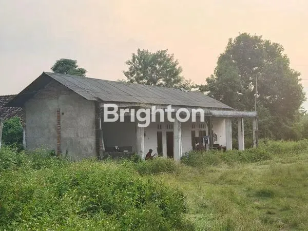 image GUDANG MOJOKERTO (2)