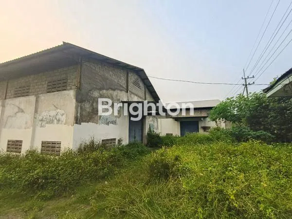 image GUDANG MOJOKERTO (3)