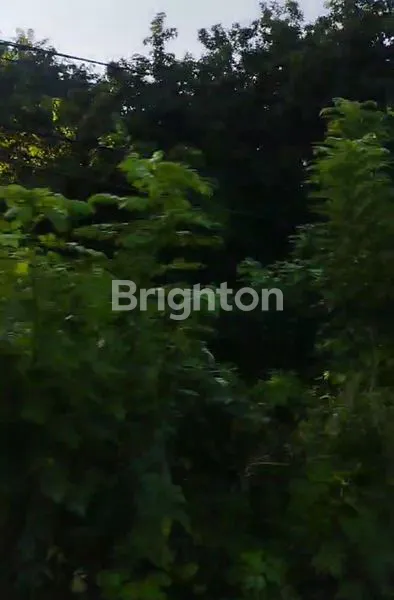 image TANAH LUAS 8.933M² DI TIMOR RAYA, KUPANG, NTT (8)