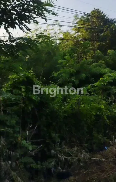 image TANAH LUAS 8.933M² DI TIMOR RAYA, KUPANG, NTT (4)