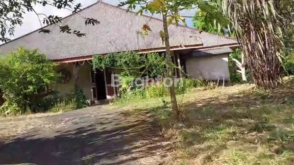 image MURAHH, JAUH DIBAWAH APPRAISAL BANK...\U203C\UFE0F RUMAH DAN TANAH LUAS 14.000M² (1,4HA) DI TOMOHON, SULAWESI UTARA*\N\U27A1\UFE0F LOKASI STRATEGIS, PINGGIR JALAN RAYA. (7)