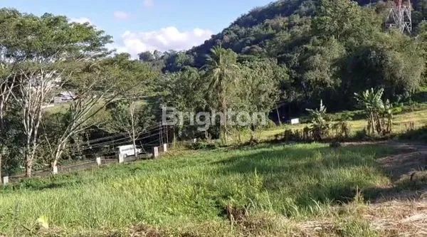 image MURAHH, JAUH DIBAWAH APPRAISAL BANK...\U203C\UFE0F RUMAH DAN TANAH LUAS 14.000M² (1,4HA) DI TOMOHON, SULAWESI UTARA*\N\U27A1\UFE0F LOKASI STRATEGIS, PINGGIR JALAN RAYA. (4)