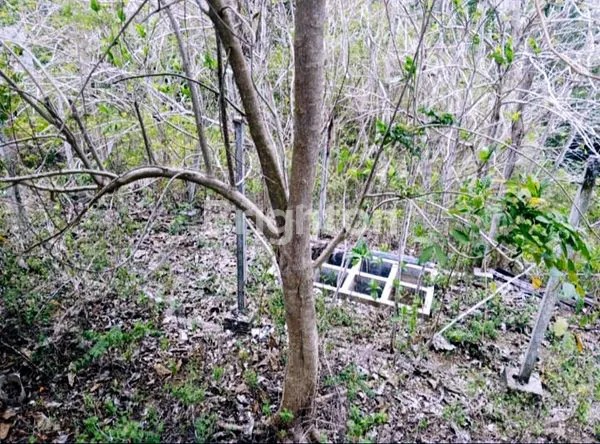 image TANAH DIJUAL – KESEMPATAN LANGKA! 150 M² SIAP BANGUN DI NUSA DUA (1)