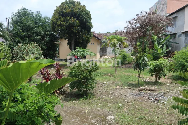 image JUAL TANAH SHM 1.250 M² BONUS RUMAH DI KRICAK JOGJA (5)