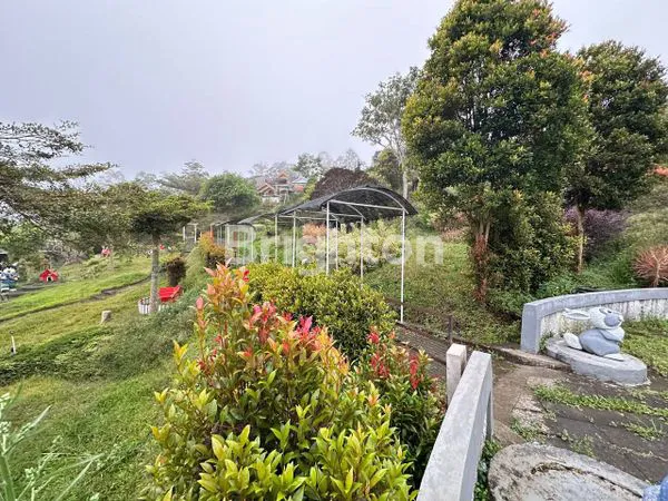TANAH WISATA TAMAN KELINCI PUJON KAB MALANG
