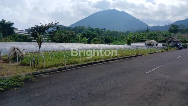 image MUST HAVE PROPERTY! TANAH KAVLING PREMIUM VIEW 800 M² (SHM) DI CANDIKUNING2, BATURITI (1)