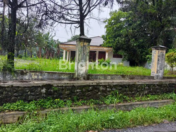 image TANAH LUAS BONUS RUMAH MEWAH DI BINJAI (1)