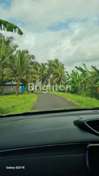 image TANAH TEGALAN DEKAT PANTAI KLECUNG DI TEGAL MENGKEB, SELAMADEG TIMUR, TABANAN. (6)
