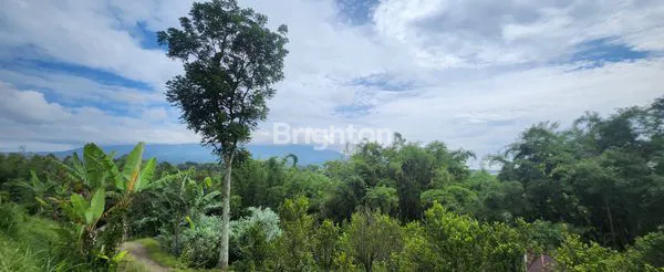 image TANAH SIAP BANGUN  (4)