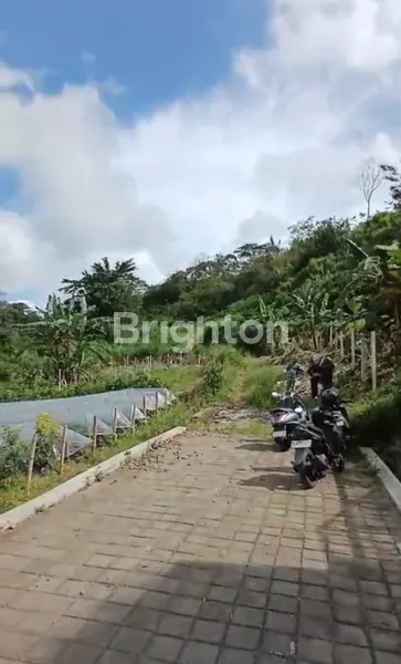 image INVESTASI PREMIUM! TANAH 10 ARE SHM ASPEK KUNING DENGAN LAKE VIEW DANAU BUYAN DI BULELENG  (4)