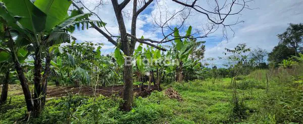 image TANAH DATAR SIAP BANGUN, AKSES MOBIL, HARGA MURAH MERIAH (1)