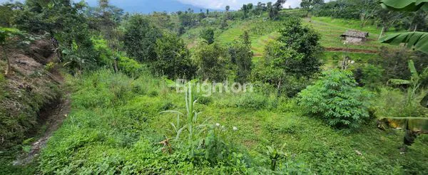 image TANAH PERTANIAN ATAU PERKEBUNAN MURAH, BISA BANGET UNTUK INVESTASI (4)