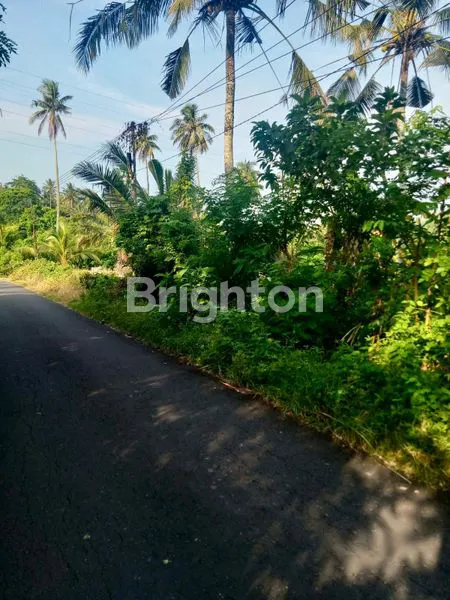 image TANAH STRATEGIS DI TABANAN, DEKAT PANTAI SOKA (7)