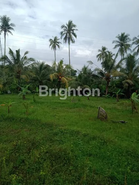 image TANAH STRATEGIS DI TABANAN, DEKAT PANTAI SOKA (5)