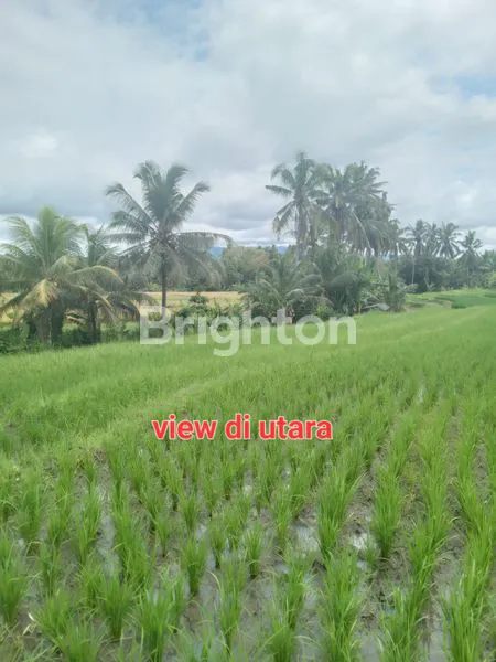 TANAH STRATEGIS 2.080M², JALAN ASPAL BAGUS, SIAP INVESTASI