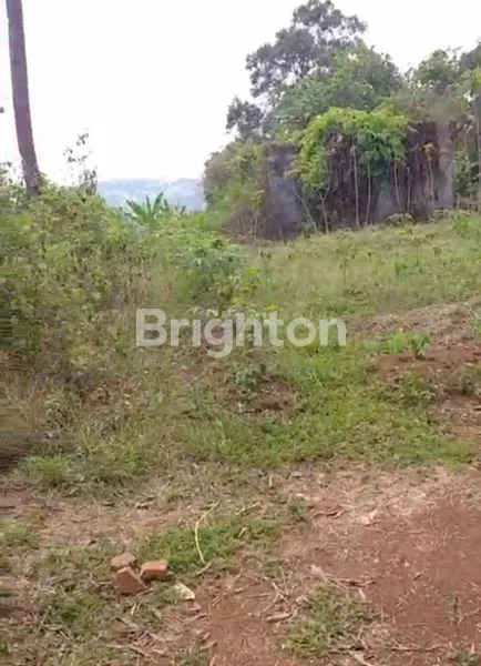 TANAH SHM 24 HEKTAR, LOKASI STRATEGIS DI PERBATASAN BOGOR