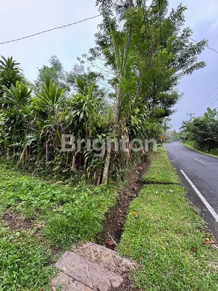 image TANAH 19 ARE DI RENDANG KARANGASEM | DEKAT TELAGA WAJA & AKSES BESAKIH | COCOK VILA/RESORT (2)