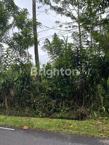 image TANAH 19 ARE DI RENDANG KARANGASEM | DEKAT TELAGA WAJA & AKSES BESAKIH | COCOK VILA/RESORT (3)