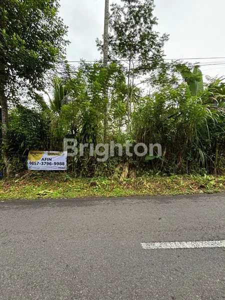 image TANAH 19 ARE DI RENDANG KARANGASEM | DEKAT TELAGA WAJA & AKSES BESAKIH | COCOK VILA/RESORT (5)