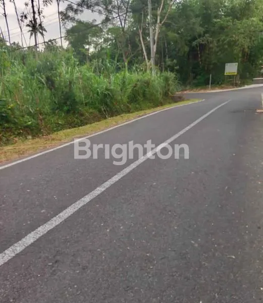 image TANAH 19 ARE DI RENDANG KARANGASEM | DEKAT TELAGA WAJA & AKSES BESAKIH | COCOK VILA/RESORT (8)