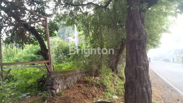 image JUAL TANAH KUBUTAMBAHAN SINGARAJA (3)